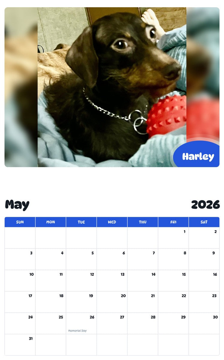 2026 - 2027 Harley - Pawidols Pet Calendar
