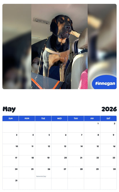 2026 - 2027 Finnegan - Pawidols Pet Calendar
