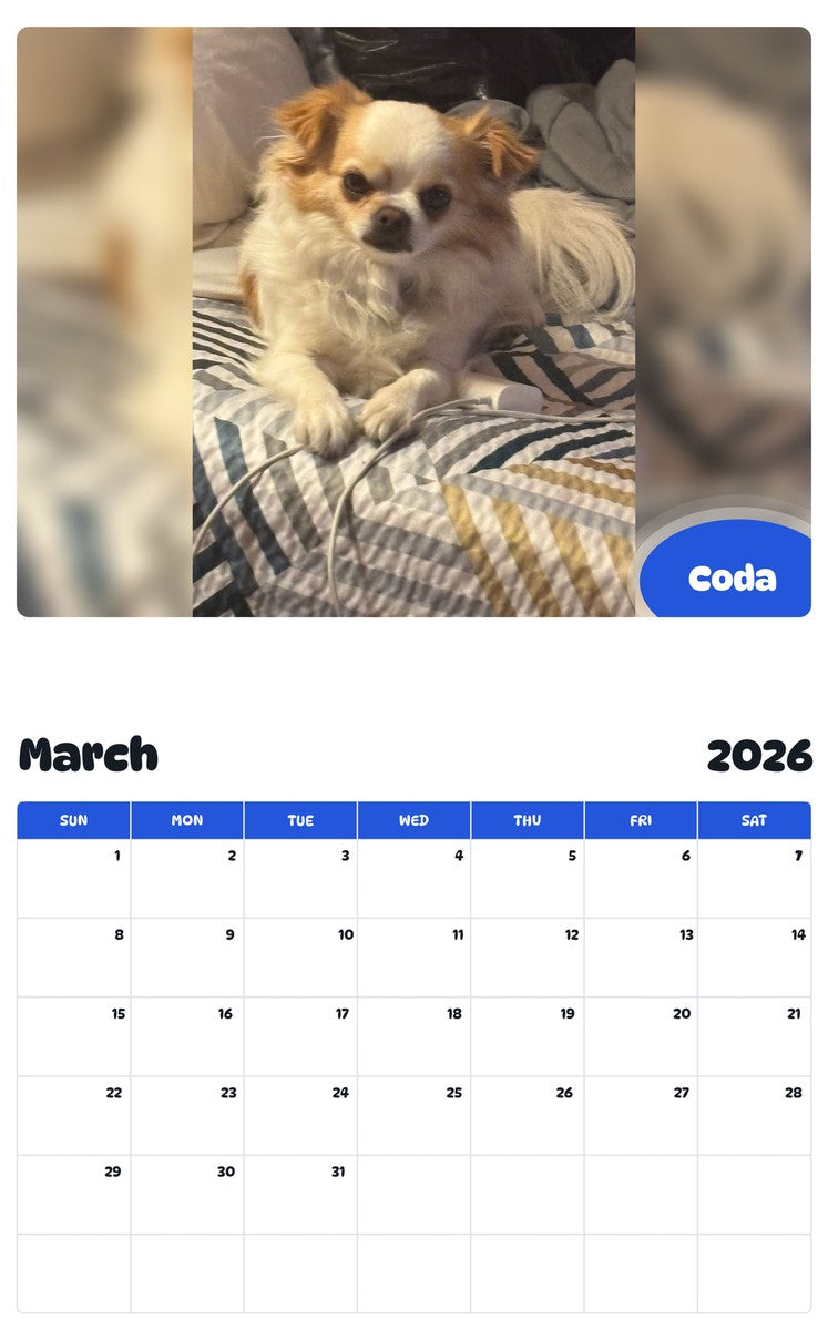 November 2025 - October 2026 Coda - Pawidols Pet Calendar