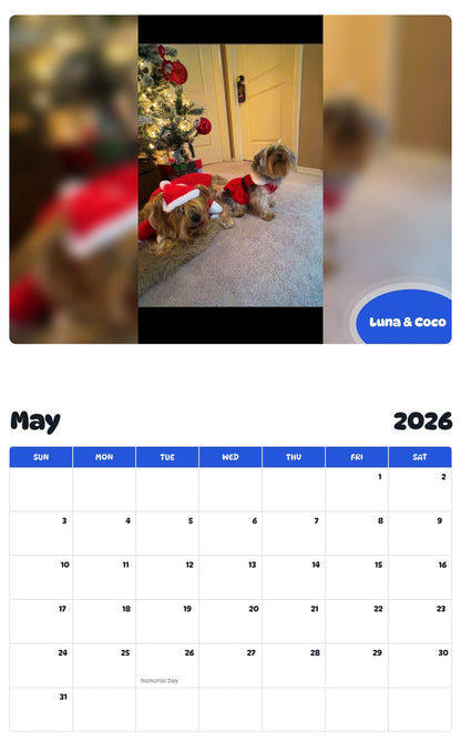 2026 - 2027 Luna & Coco - Pawidols Pet Calendar