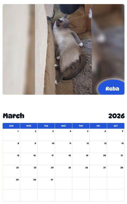 November 2025 - October 2026 Reba - Pawidols Pet Calendar