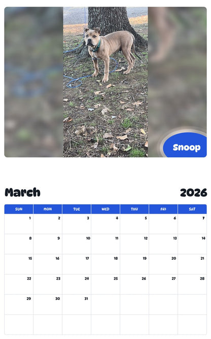 November 2025 - October 2026 Snoop - Pawidols Pet Calendar