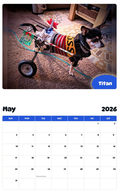 2026 - 2027 Titan - Pawidols Pet Calendar