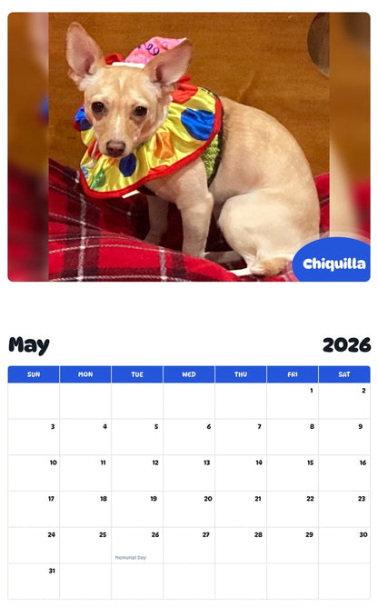 2026 - 2027 Chiquilla - Pawidols Pet Calendar