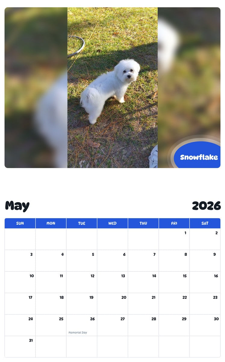 2026 - 2027 Snowflake - Pawidols Pet Calendar