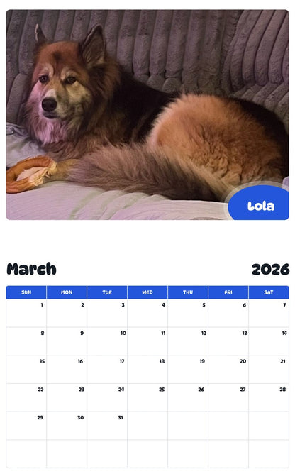 November 2025 - October 2026 Lola - Pawidols Pet Calendar