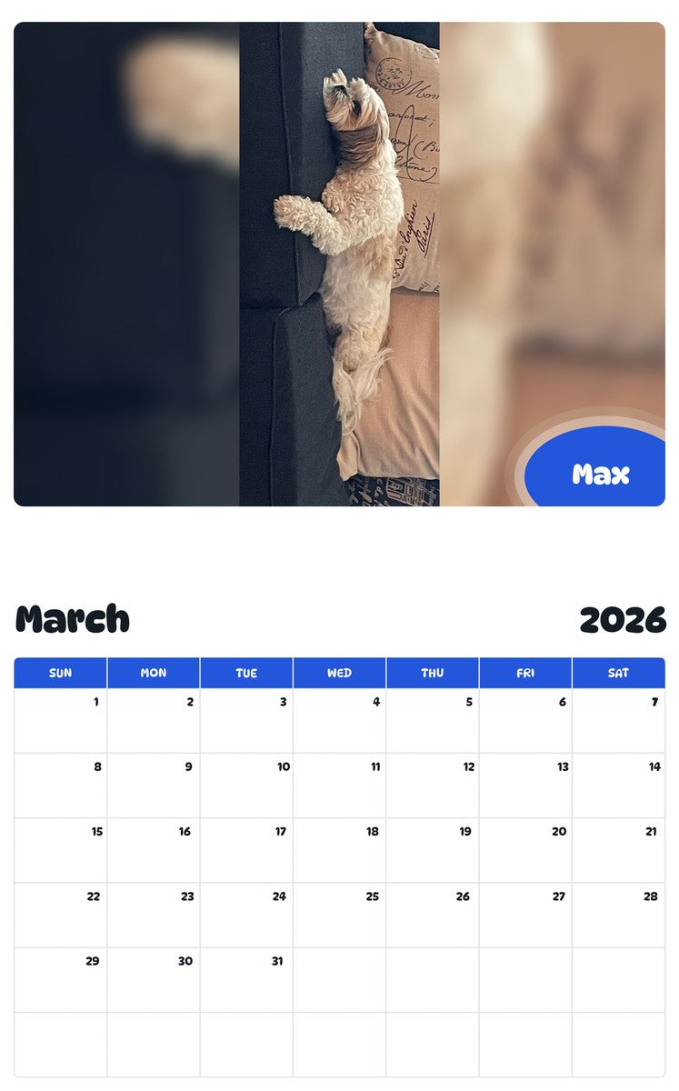 November 2025 - October 2026 Max - Pawidols Pet Calendar