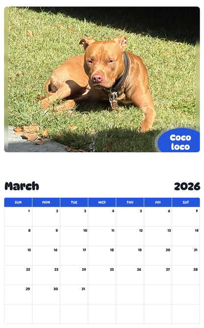 November 2025 - October 2026 Coco loco - Pawidols Pet Calendar