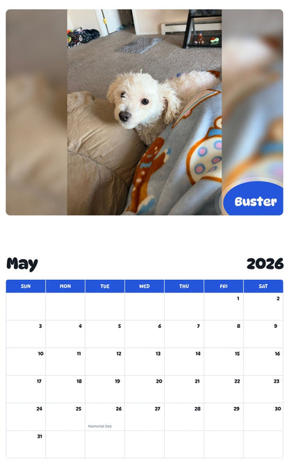2026 - 2027 Buster - Pawidols Pet Calendar
