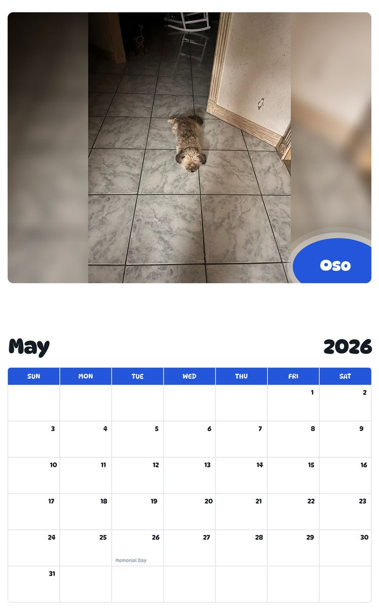 2026 - 2027 Oso - Pawidols Pet Calendar