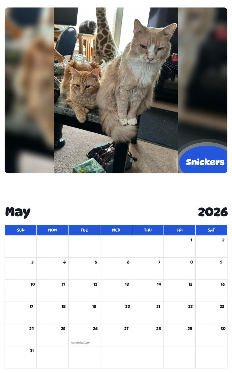 2026 - 2027 Snickers - Pawidols Pet Calendar