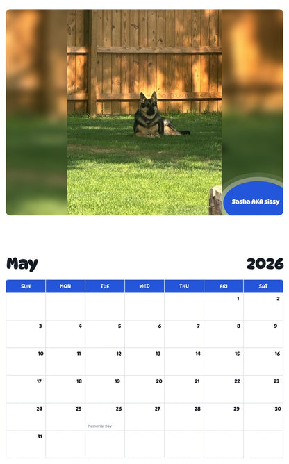 2026 - 2027 Sasha AKA sissy - Pawidols Pet Calendar