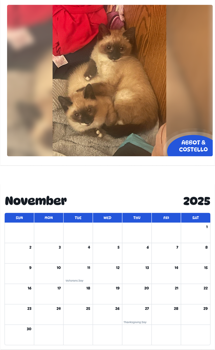 July 2025 - June 2026 Abbot & Costello - Pawidols Pet Calendar