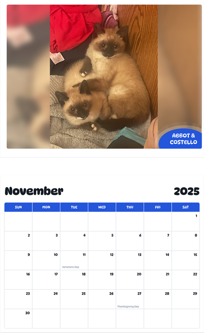 July 2025 - June 2026 Abbot & Costello - Pawidols Pet Calendar