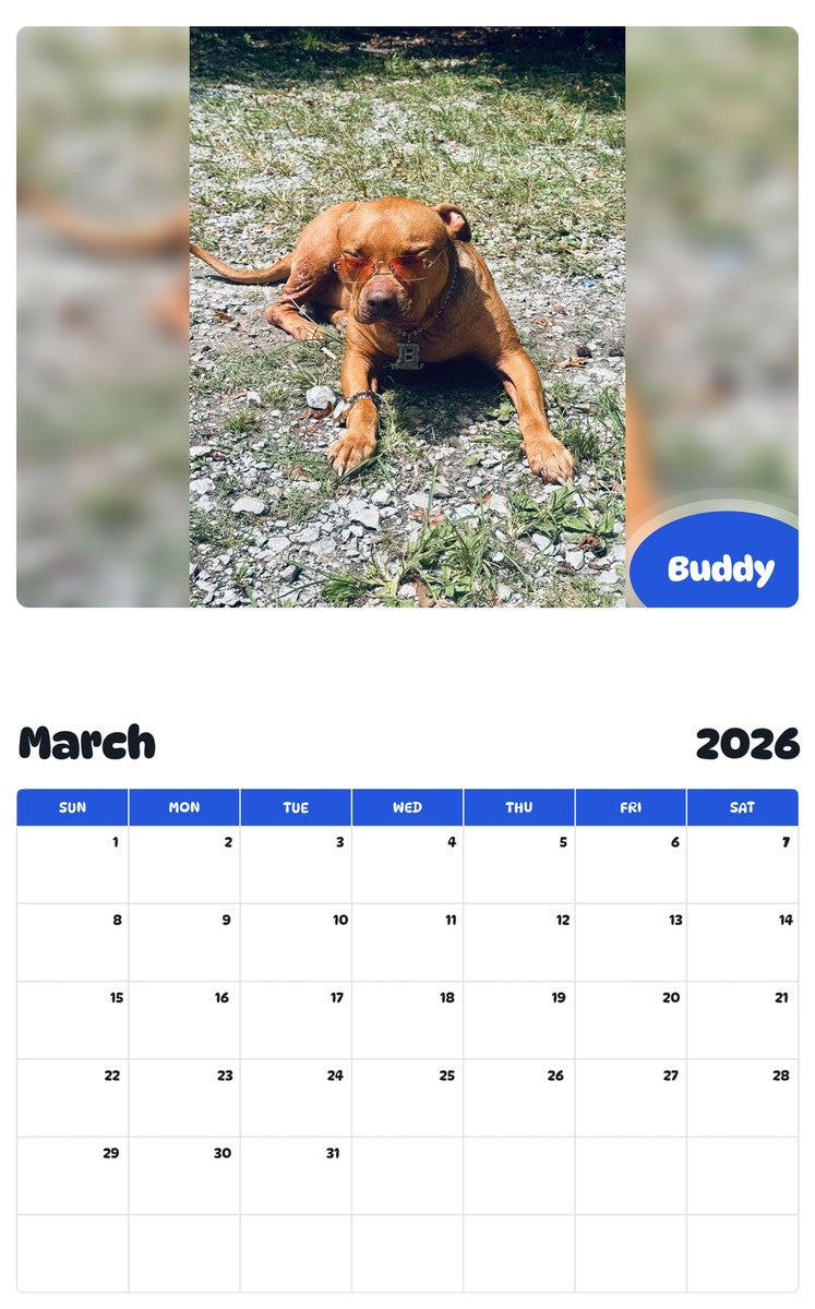 November 2025 - October 2026 Buddy - Pawidols Pet Calendar