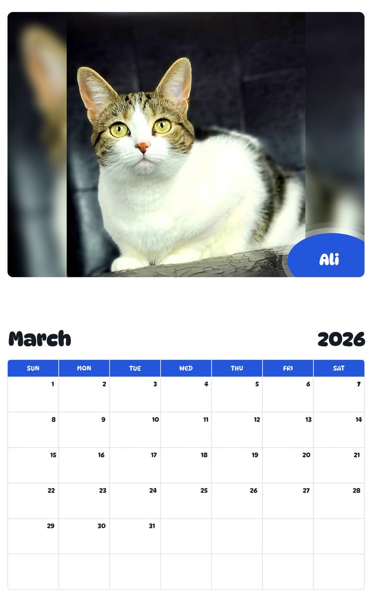 November 2025 - October 2026 Ali - Pawidols Pet Calendar
