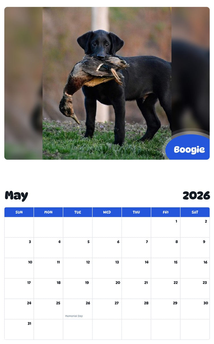 2026 - 2027 Boogie - Pawidols Pet Calendar