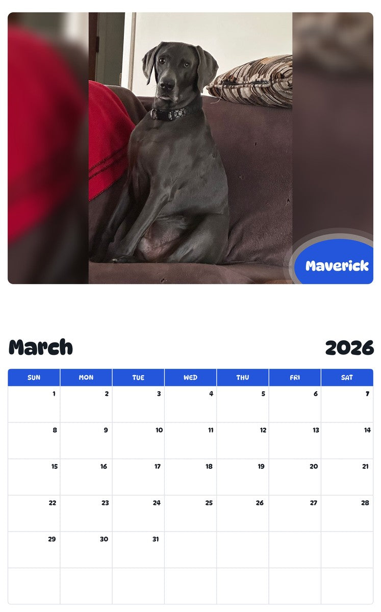 November 2025 - October 2026 Maverick - Pawidols Pet Calendar