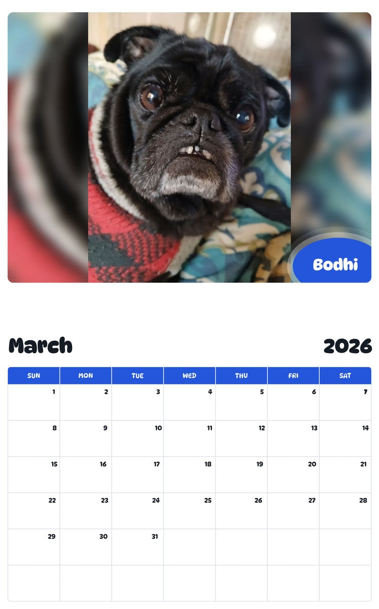 November 2025 - October 2026 Bodhi - Pawidols Pet Calendar