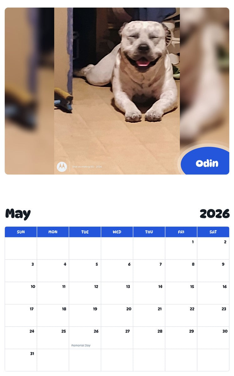 2026 - 2027 Odin - Pawidols Pet Calendar