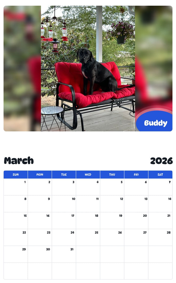 November 2025 - October 2026 Buddy - Pawidols Pet Calendar