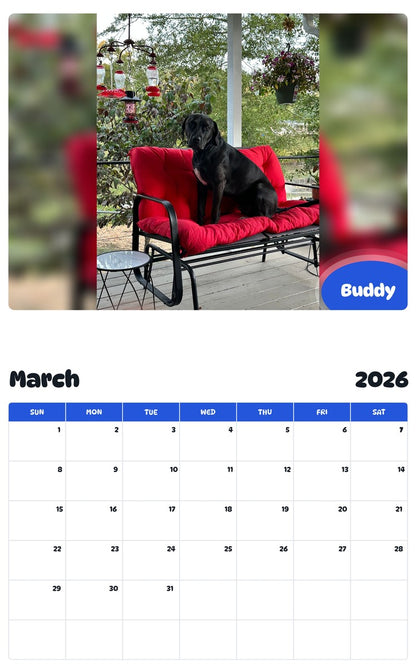 November 2025 - October 2026 Buddy - Pawidols Pet Calendar