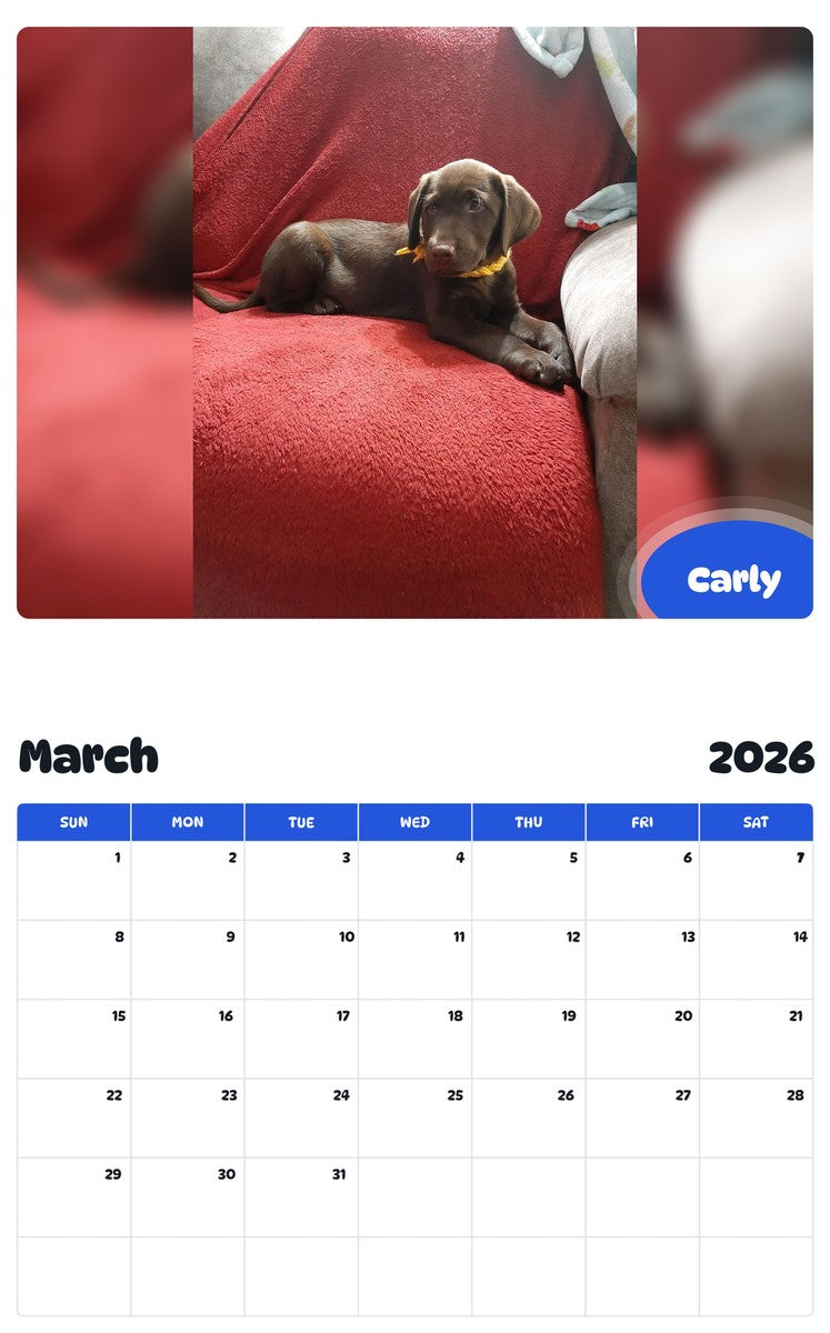 November 2025 - October 2026 Carly - Pawidols Pet Calendar