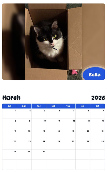 November 2025 - October 2026 Bella - Pawidols Pet Calendar