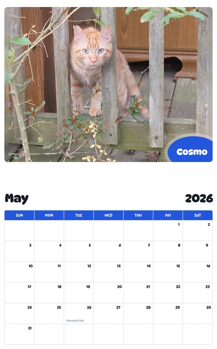 2026 - 2027 Cosmo - Pawidols Pet Calendar