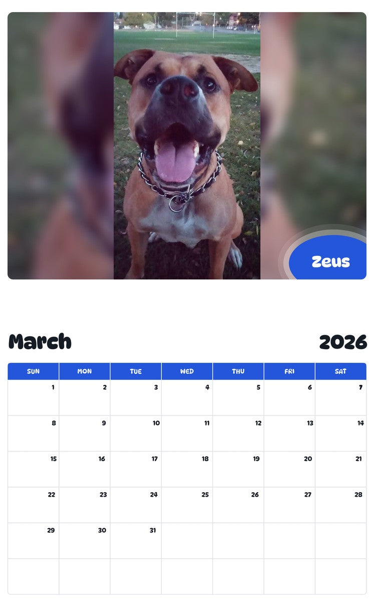 November 2025 - October 2026 Zeus - Pawidols Pet Calendar