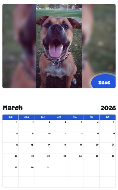 November 2025 - October 2026 Zeus - Pawidols Pet Calendar