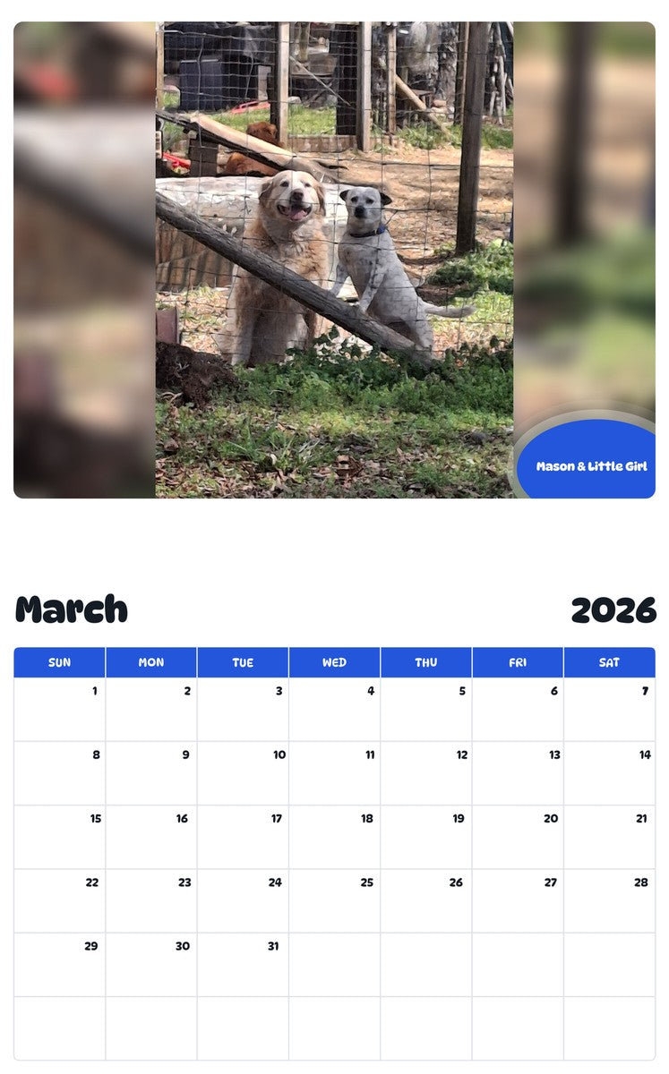 November 2025 - October 2026 Mason & Little Girl - Pawidols Pet Calendar