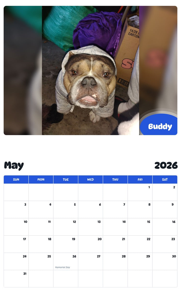 2026 - 2027 Buddy - Pawidols Pet Calendar