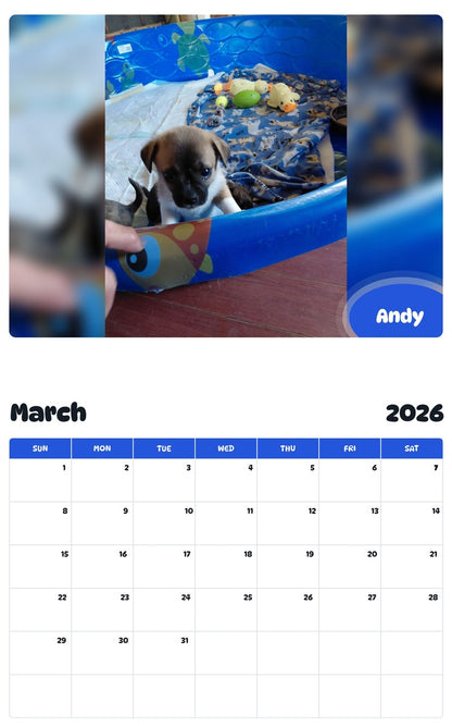 November 2025 - October 2026 Andy - Pawidols Pet Calendar