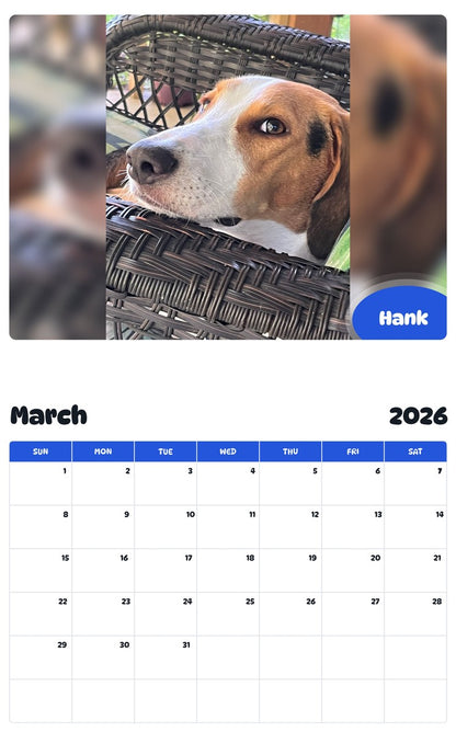 November 2025 - October 2026 Hank - Pawidols Pet Calendar