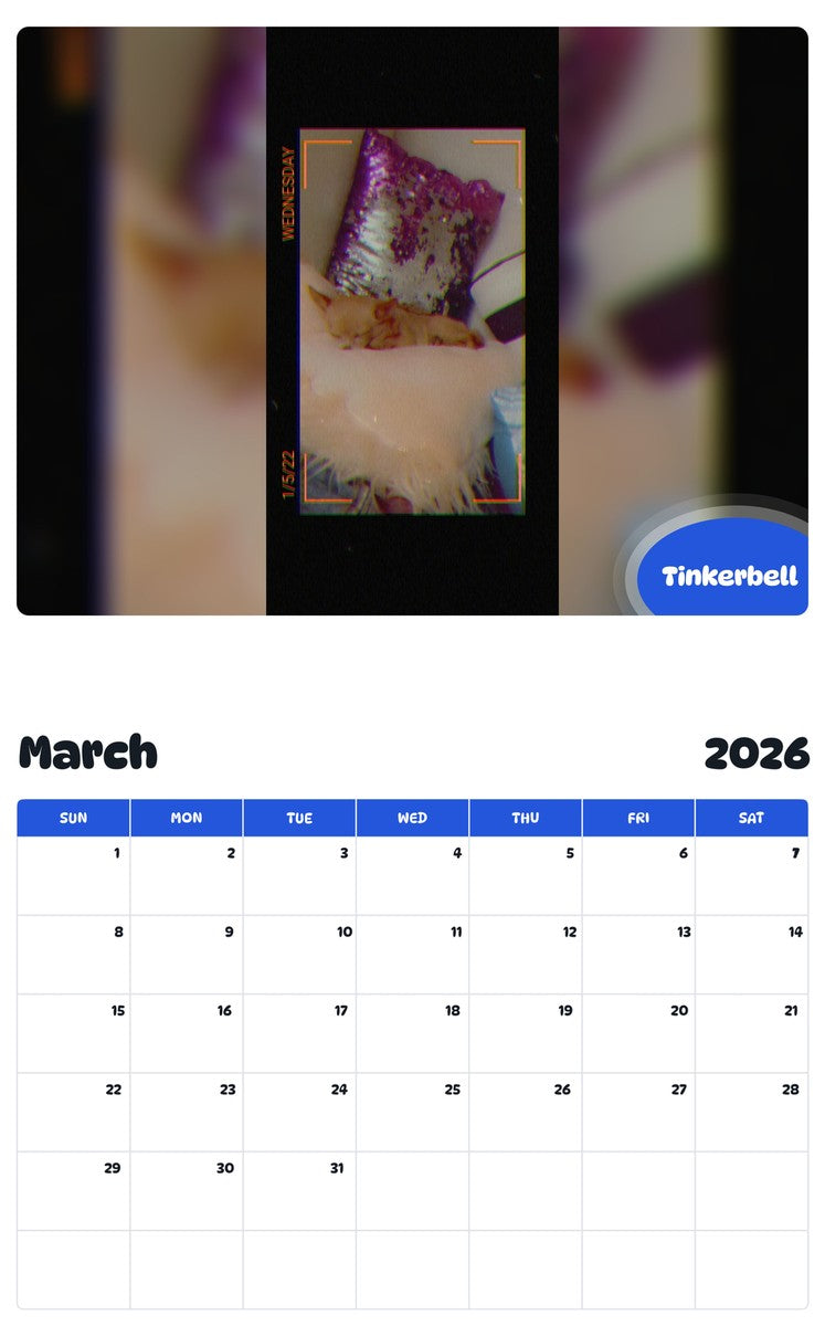 November 2025 - October 2026 Tinkerbell - Pawidols Pet Calendar