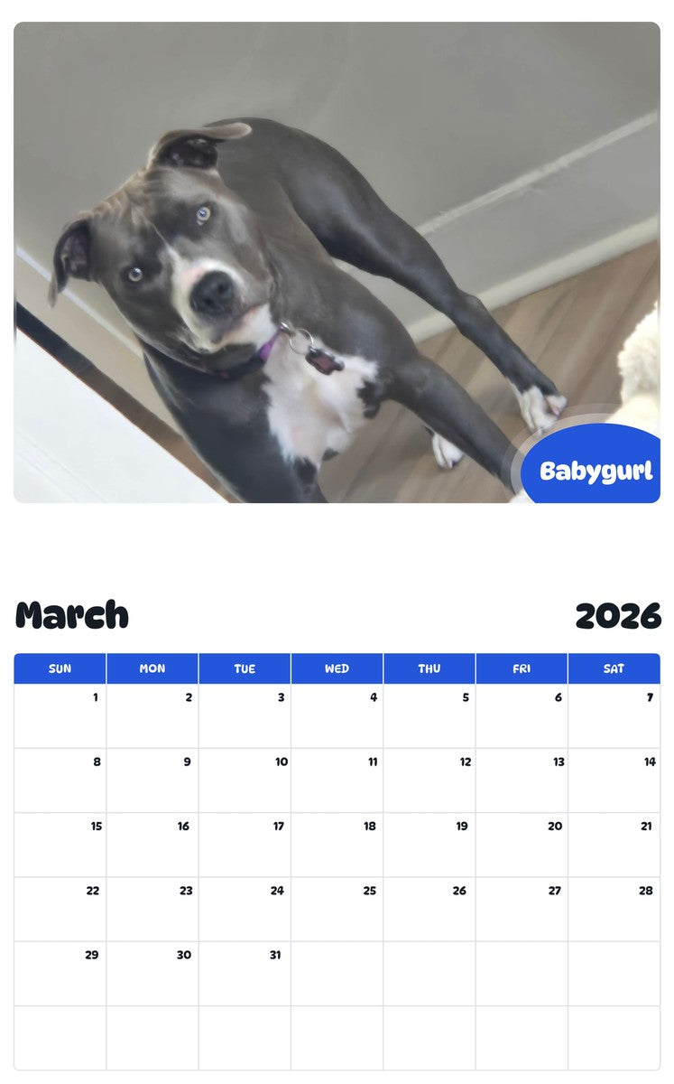 November 2025 - October 2026 Babygurl - Pawidols Pet Calendar