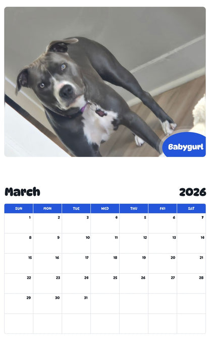 November 2025 - October 2026 Babygurl - Pawidols Pet Calendar