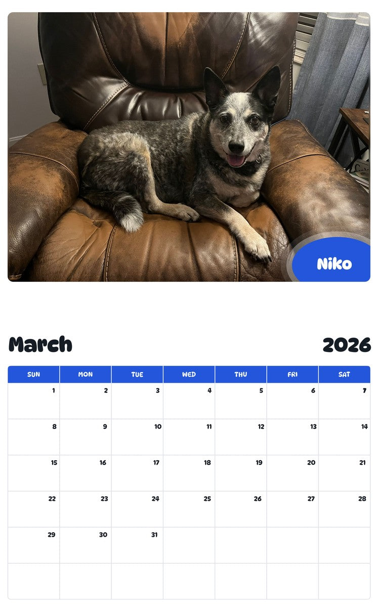 November 2025 - October 2026 Niko - Pawidols Pet Calendar