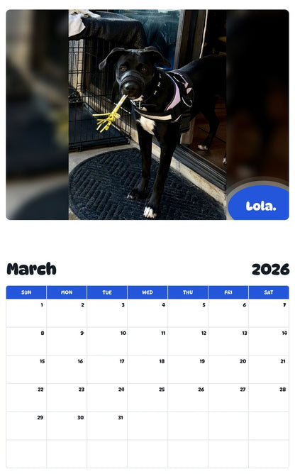 November 2025 - October 2026 Lola. - Pawidols Pet Calendar