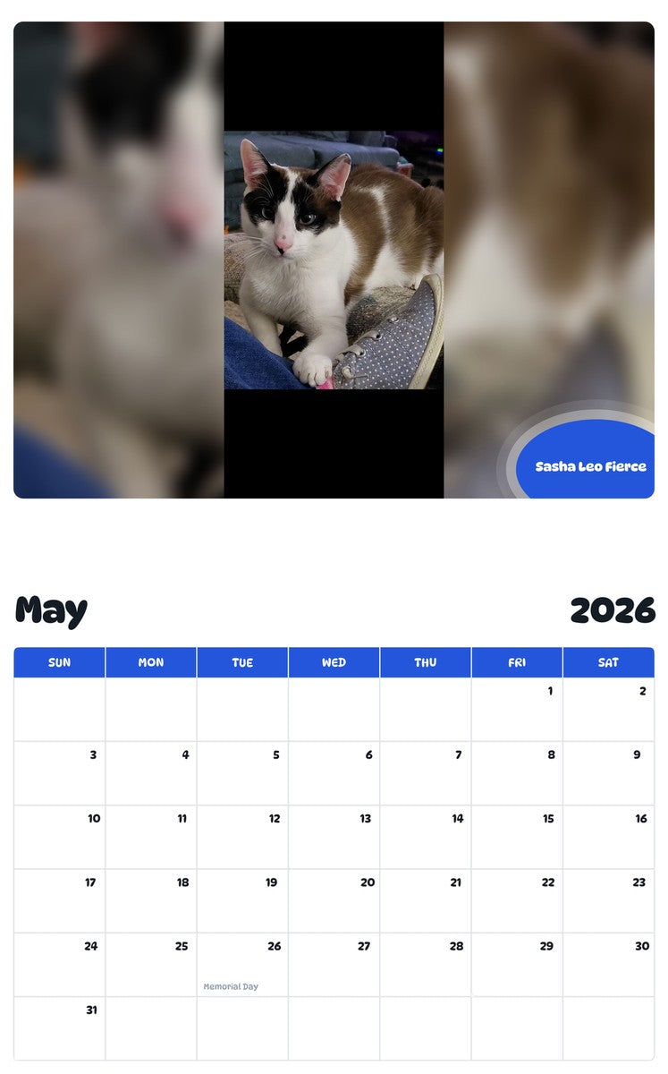 2026 - 2027 Sasha Leo Fierce - Pawidols Pet Calendar