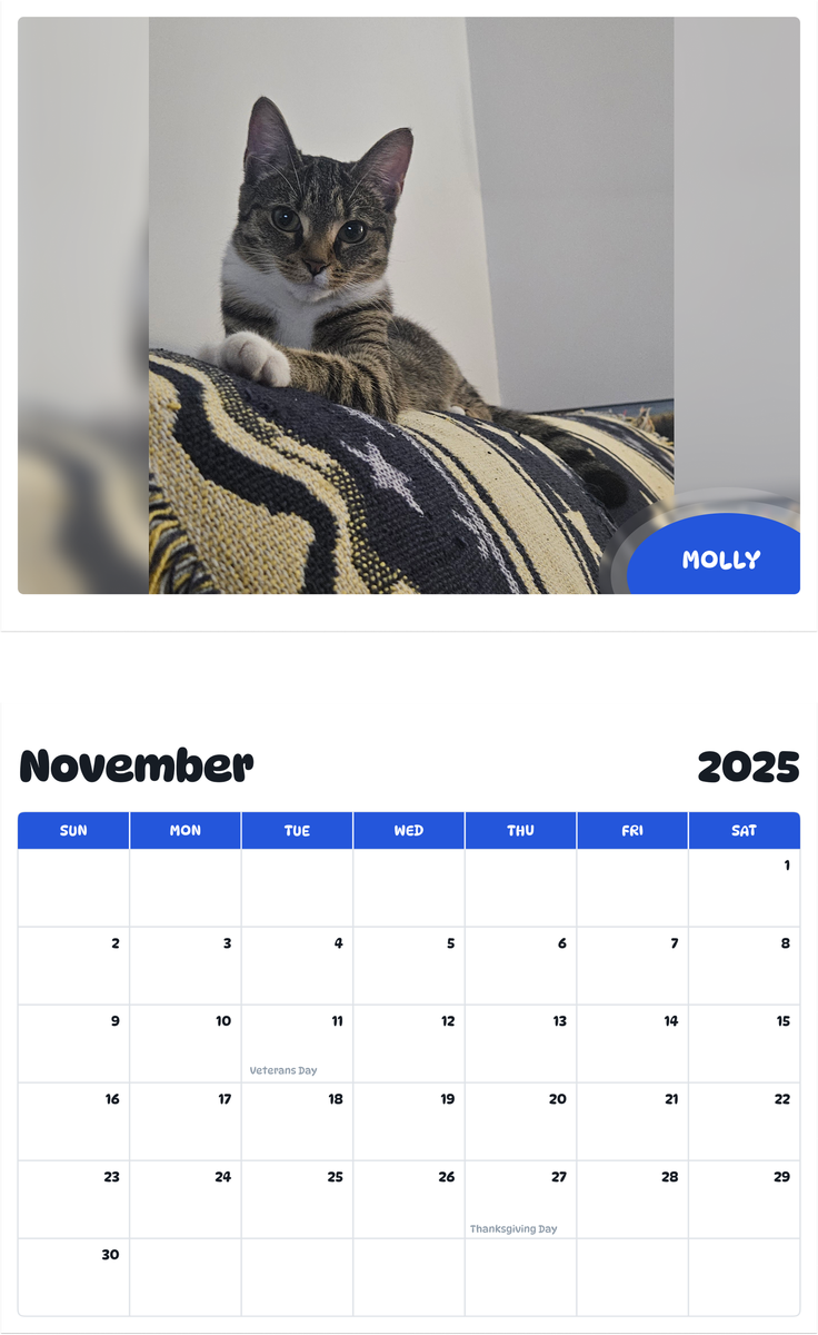 July 2025 - June 2026 Molly - Pawidols Pet Calendar