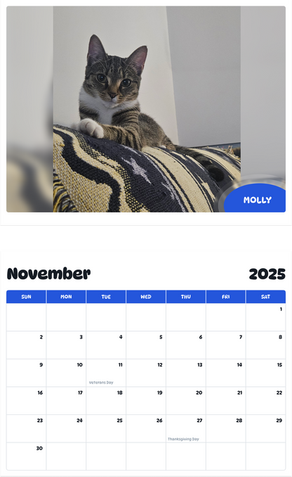 July 2025 - June 2026 Molly - Pawidols Pet Calendar