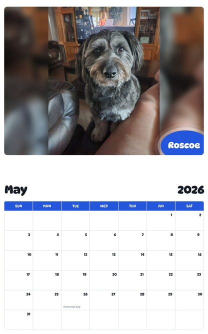 2026 - 2027 Roscoe - Pawidols Pet Calendar