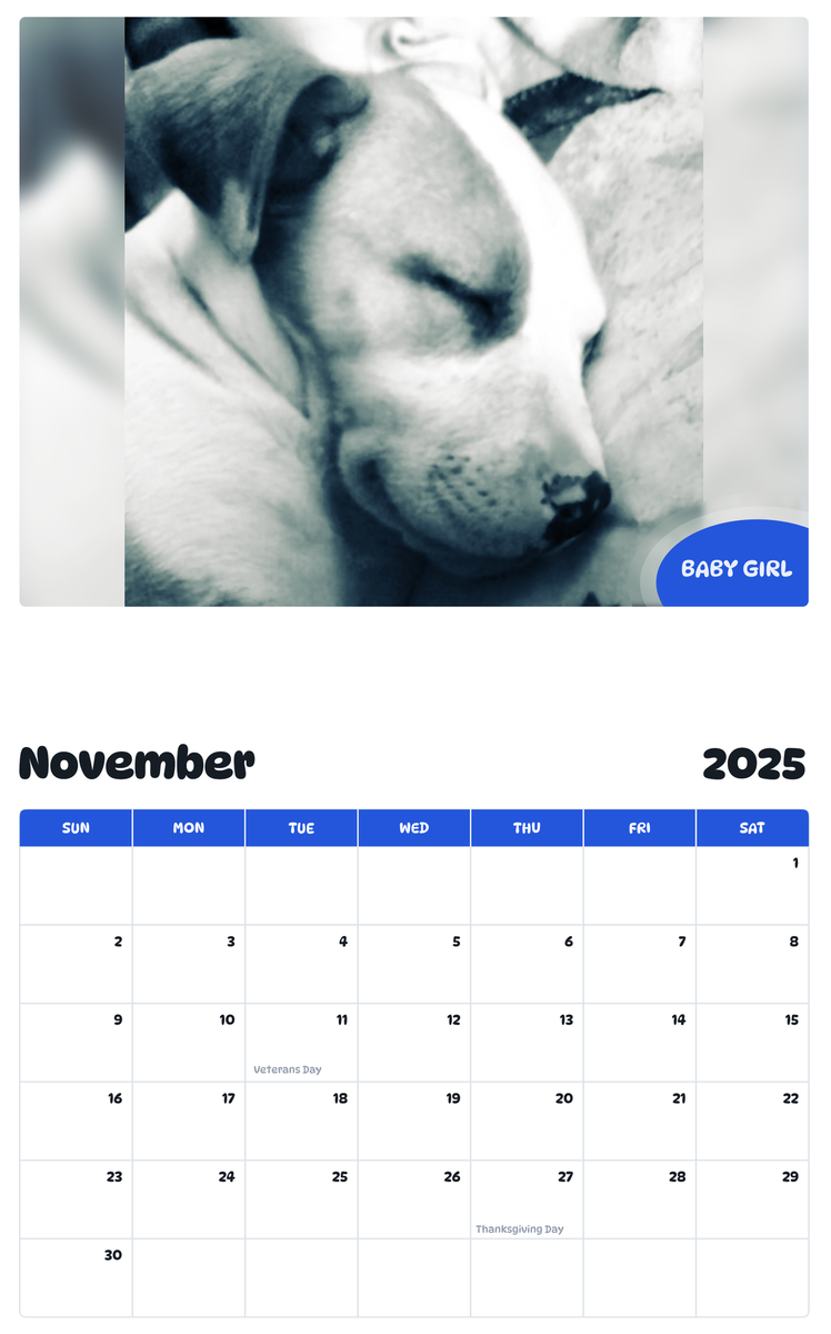 July 2025 - June 2026 Baby Girl - Pawidols Pet Calendar