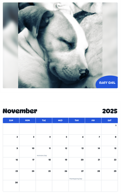 July 2025 - June 2026 Baby Girl - Pawidols Pet Calendar