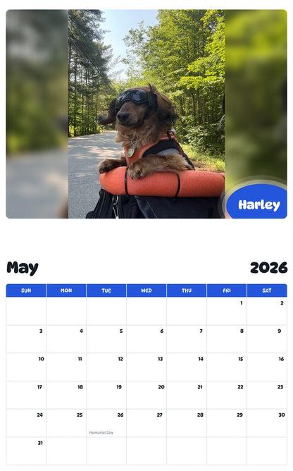 2026 - 2027 Harley - Pawidols Pet Calendar