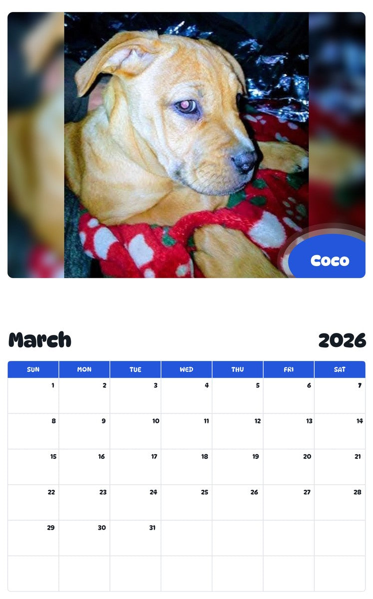 November 2025 - October 2026 Coco - Pawidols Pet Calendar