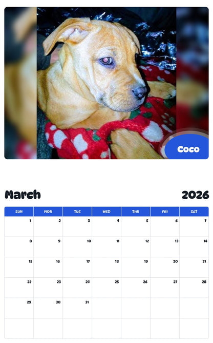 November 2025 - October 2026 Coco - Pawidols Pet Calendar