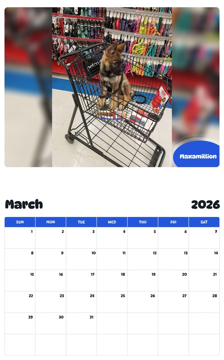 November 2025 - October 2026 Maxamillion - Pawidols Pet Calendar